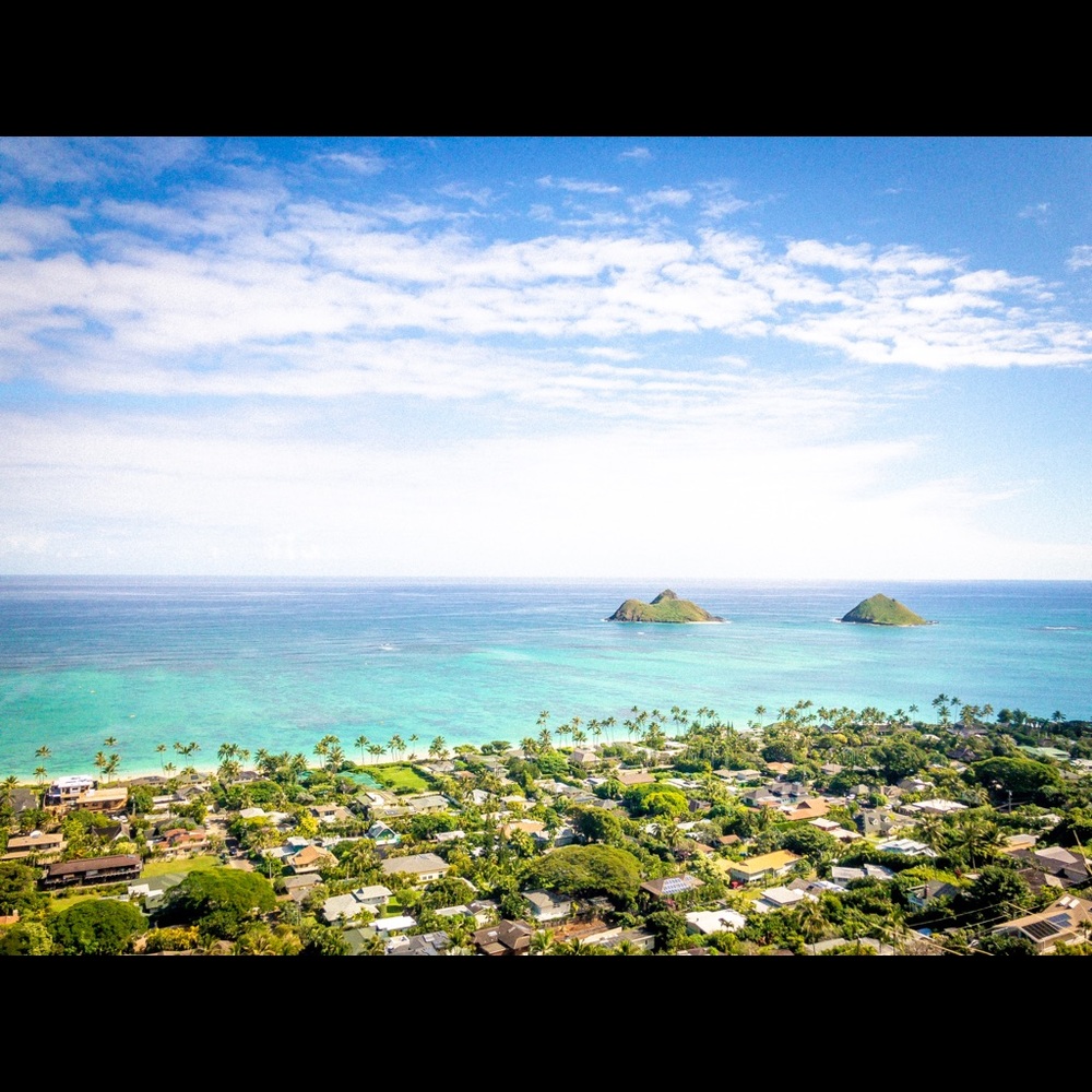 Meet your Posher, Ceciley